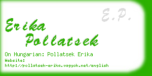 erika pollatsek business card